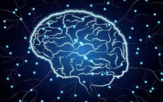 新技术揭示了大脑如何响应视网膜接收到的光信号