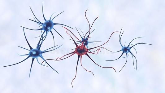 神经元基因突变可能与长QT综合征相关的癫痫发作有关
