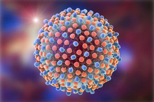 迷你病毒RNA是流感免疫反应的关键