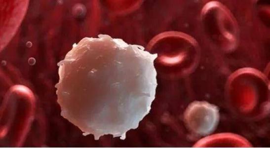 复合疗法对急性髓细胞性白血病有希望