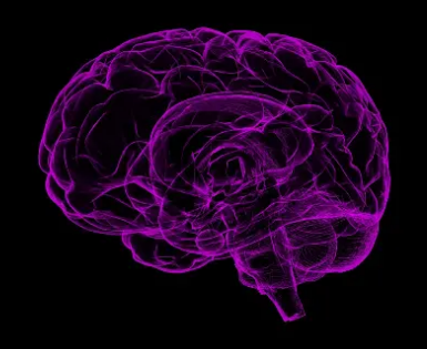 对言语的脑电图反应可识别具有保留认知功能的严重脑损伤患者