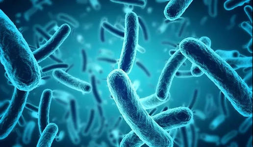 寻找细菌的弱点以改善处方 生物科学网 寻找细菌的弱点以改善处方 生物科学网