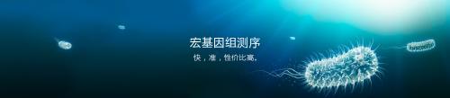 新的评论突出了宏基因组学的机遇和挑战