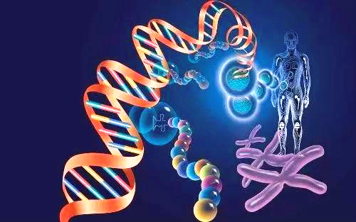 新的研究揭示了世界上最顶级的基因组重排检测工具