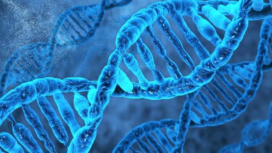 DNA修复蛋白的突变形式可能阐明其在预防癌症中的作用