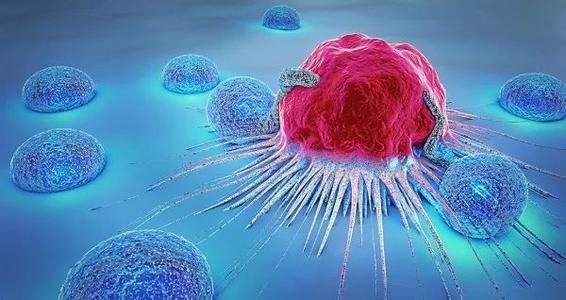 癌症免疫疗法可以增强患者自身免疫系统