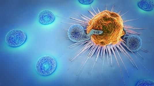 免疫疗法对某些前列腺癌男性有益