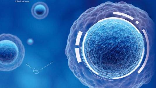 科学家研究免疫细胞如何感知和响应环境以抵抗疾病