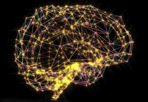 研究表明关键性是正常运行的大脑网络的标志