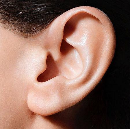 耳朵可用于心电图预测心律