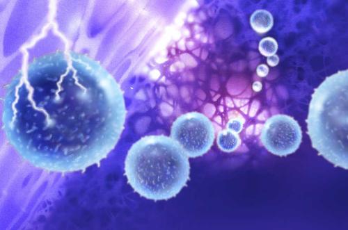HIMC在西奈山评估新型癌症免疫疗法的疗效