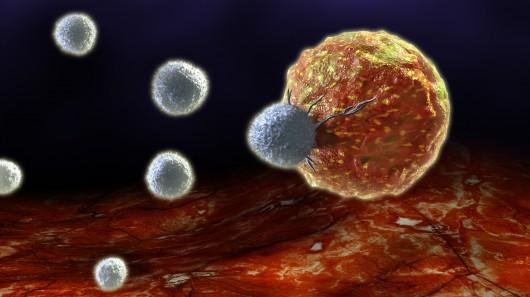 癌症转移过程中的肿瘤细胞可塑性计数