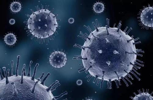 麻疹病毒感染破坏免疫系统记忆
