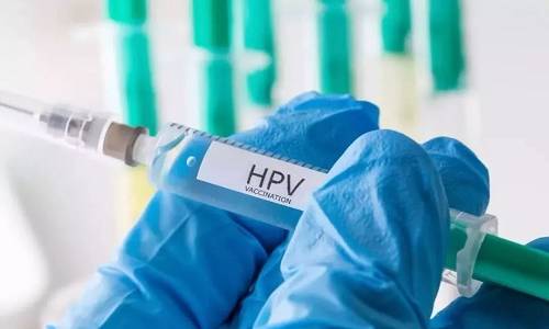 这项研究证明了针对九种HPV疫苗的有效性