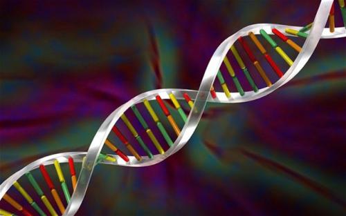 RNA修饰工具纠正遗传疾病