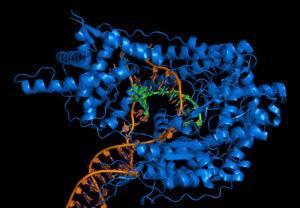 古代抗病毒系统的发现可能会改变基于RNA的医学