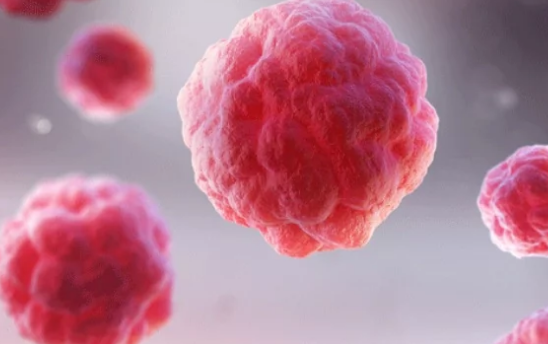细胞物流的改变有助于癌症抵抗
