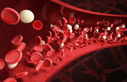 血小板 炎症和流氓蛋白共同作用于心脏