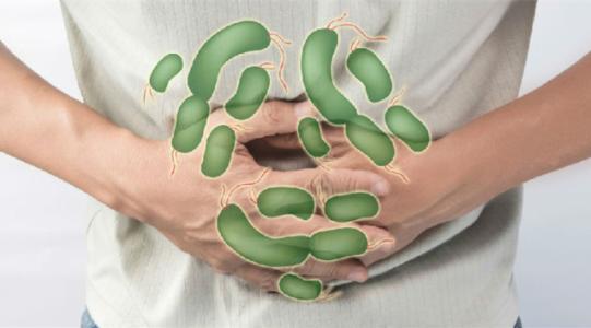 人体如何增强其对沙门氏菌感染的应急反应