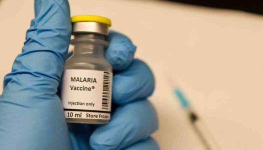 科学家率先迈出疟疾疫苗的重大进步