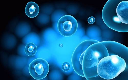 为干细胞创造了更好的生物传感器技术