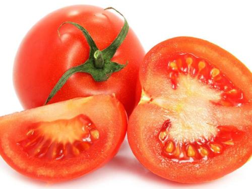 嫁接西红柿保护植物  增加产量