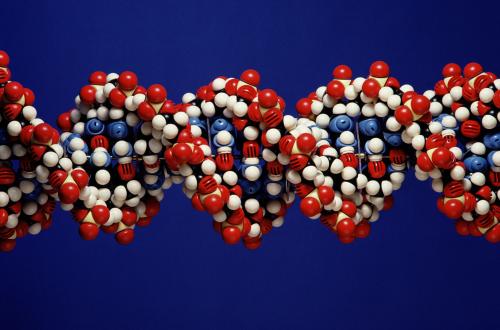 Thermo SRI International合作加强小分子研究