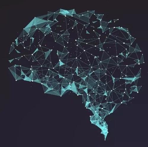 研究人员使用3D电子显微镜揭示大脑皮层中的密集网络