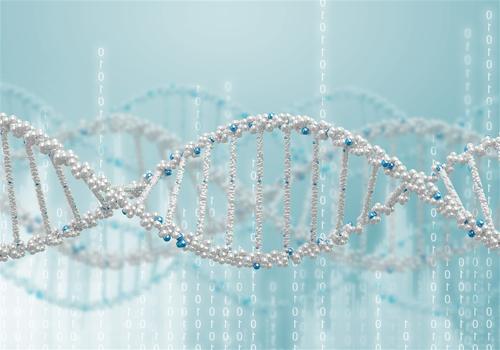 高精度技术在DNA中存储细胞记忆