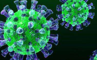 SARS幸存者的抗体模仿T病毒的膜