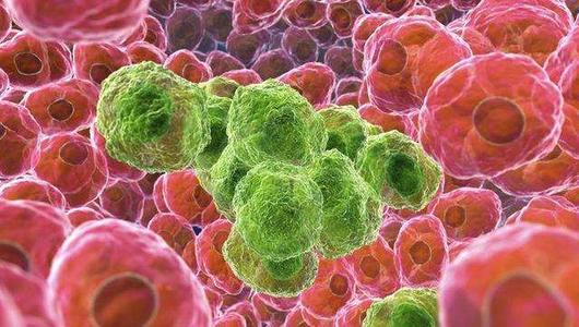 癌细胞中的染色体失衡可促进或抑制转移
