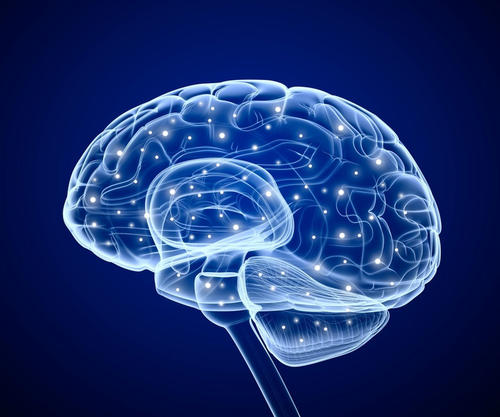 用低强度电给大脑挠痒痒可改善言语记忆