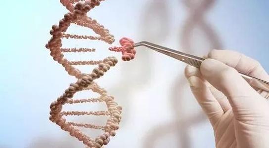 CRISPR Cas9基因编辑技术只能用于操纵DNA