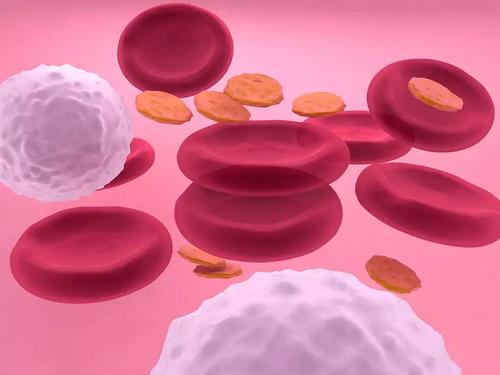 我们的血液干细胞每天产生约一万亿个新血细胞