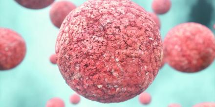 CNIO发现营养素与滤泡性淋巴瘤之间存在联系