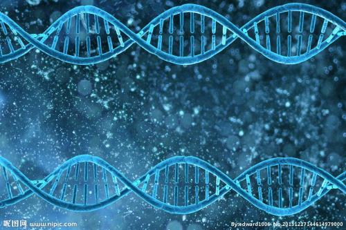遗传变异的热点如何在人类DNA中进化