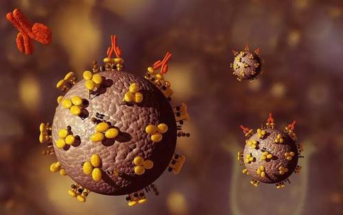 MicroRNA甲基化可能是早期癌症诊断的有用生物标志物