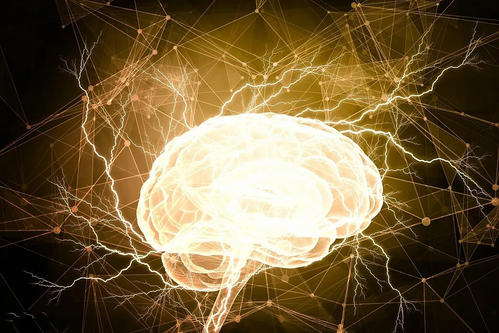 研究人员发现的新模型有望预测大脑动力学