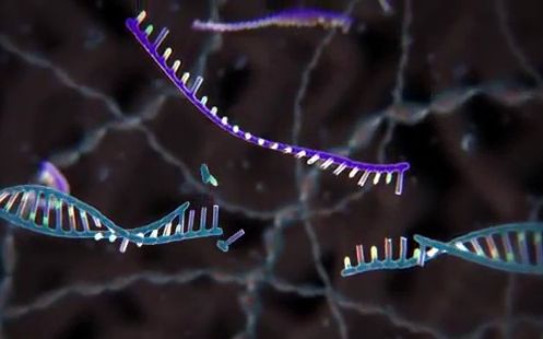 科学家利用CRISPR基因组手术治愈失明