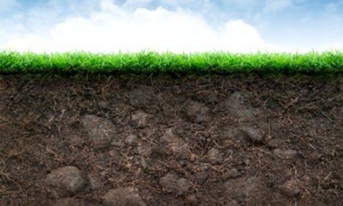 如何让茎土壤侵蚀的新方法