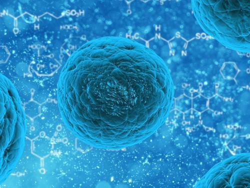 在实验室中有效对抗胰腺癌细胞的可转换杀伤细胞