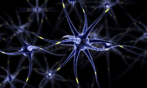 研究人员确定了与Leigh综合征相关的两组神经元