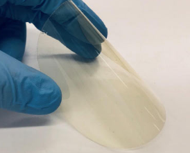 新型合成生物塑料可防止紫外线辐射