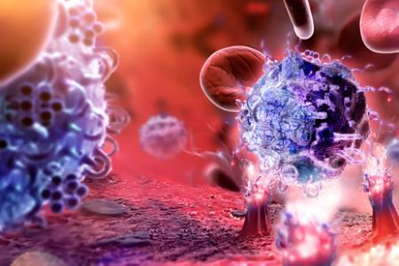 研究人员确定了一种策略可以最大程度地提高抗癌免疫疗法的有效性