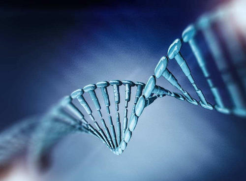 ACMG就临床遗传学中的基因组编辑发表声明