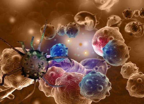 癌细胞通过食用邻近的肿瘤细胞而在化疗中存活