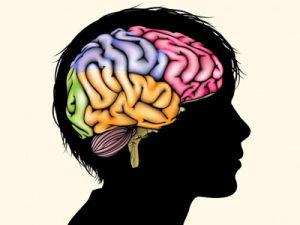 研究人员通过清醒大脑皮质层的初步观察