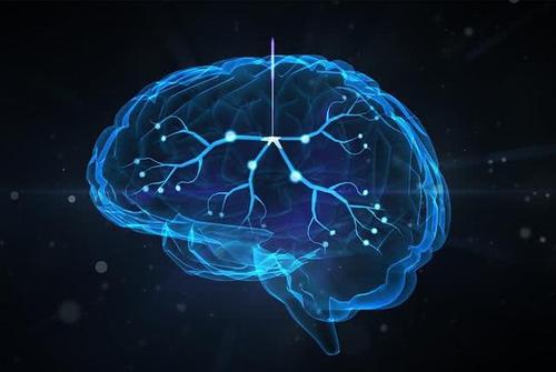 UCI研究揭示了大脑回路在改善学习和记忆中的关键作用