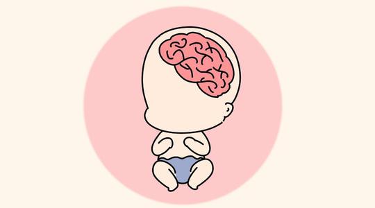 绘制新生儿大脑回路图可能有助于自闭症的早期发现