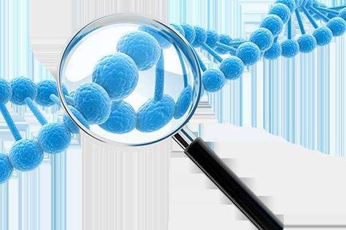 基因测试可以帮助探索发现罕见疾病的原因